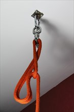 Ceiling hook with loop