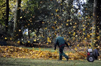 Autumn foliage being collected with a leaf blower