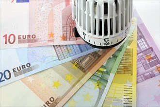Radiator valve with euro banknotes fanned out
