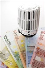 Radiator valve with euro banknotes