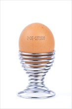 Brown egg with the producer code in egg cup