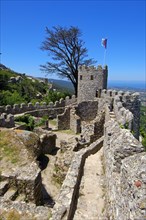 Castelo dos Mouros