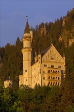 Schloss Neuschwanstein castle