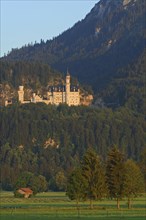 Schloss Neuschwanstein castle