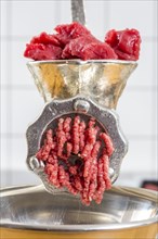 Meat-grinder
