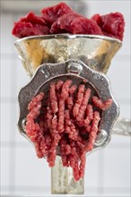 Meat-grinder
