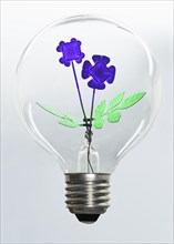 Lightbulb with violets