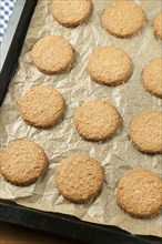 Oat biscuits on baking sheet