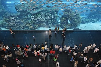 Visitors in front of Dubai Aquarium