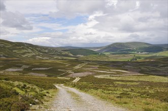 Dirt road and landscape in the Grampian Mountains