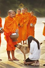 People making offerings to Buddhist monks who walk the streets in the morning to receive what they will eat each day in Chiang Mai
