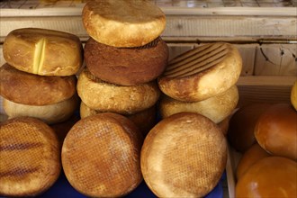 Typical Romanian sheep's milk cheese on a market