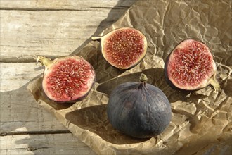 Common figs (Ficus carica)