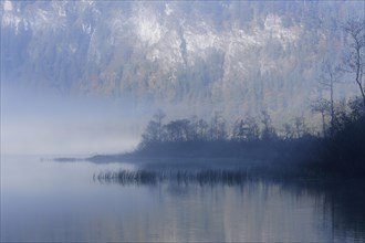Early morning on lake Offensee