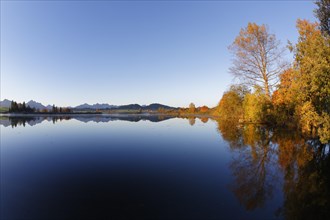 Autumn morning at Huttlerweiher pond