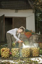Boy washing apples for making juice