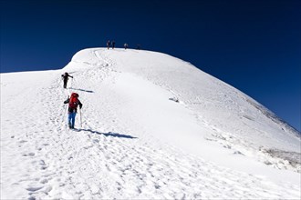 Hiker climbing Monte Cevedale mountain