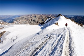 Hiker climbing Monte Cevedale mountain