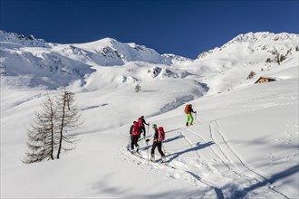Ski walkers at the Stierbergalm