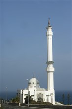 The Ibrahim al Ibrahim Mosque