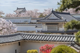 Outside Himeji Castle