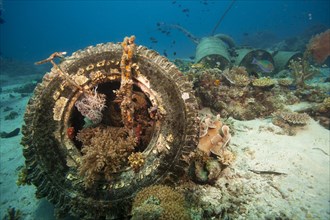 An anchor made of concrete blocks and old barrels in a coral reef