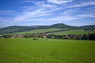 Landscape with pastures