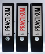Three file folders labeled 'Praktikum'