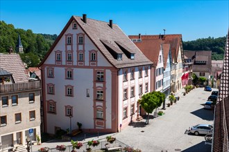 View from the Collegiate Church of the Holy Cross over the town of Horb am Neckar