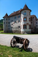 Moated Castle of Glatt