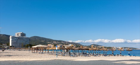 Section of beach near Palma Nova with sunbeds and hotels