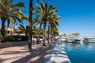 Exclusive marina of Puerto Portals