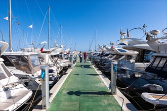 Exclusive marina of Puerto Portals