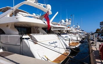 Exclusive marina of Puerto Portals