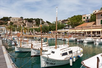 Typical fishing boats in the harbor of Port de Soller