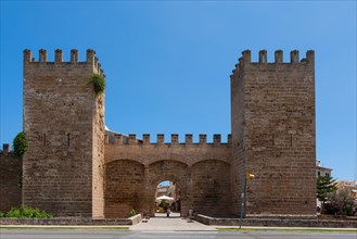 City wall and the gate