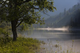 Lake near Gosau in the morning mist