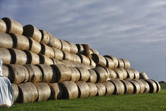 Pressed and stacked straw bales