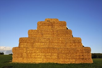 Stacked square bales of straw in a field