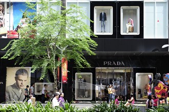 Shop windows of the Prada store