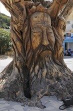 Face carved in a tree by hippies