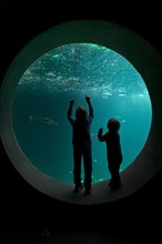 Children in front of the large round window of an aquarium