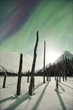 Moonlight and aurora in Portage Valley