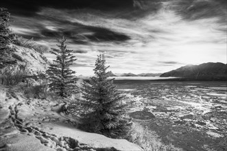 Winter landscape along Turnagain Arm