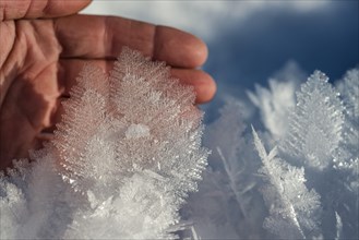 Hand touching ice crystals