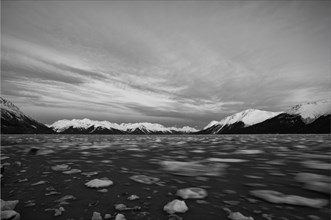 Ice floes in Turnagain Arm