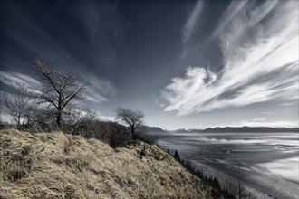 A view of Turnagain Arm