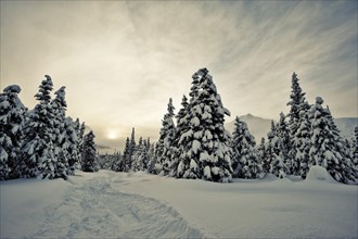 Turnagain Pass in winter