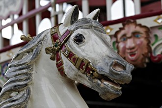 Carousel horse at the Oktoberfest