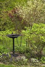 Black cast iron birdbath in a landscaped residential backyard garden in spring